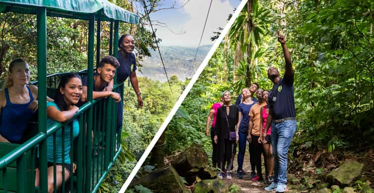 Saint Lucia: Aerial Tram Tour at Rainforest Adventures