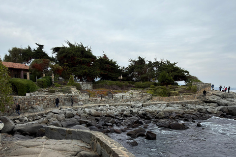From Santiago: Papudo Horseback Ride & Penguin Watching