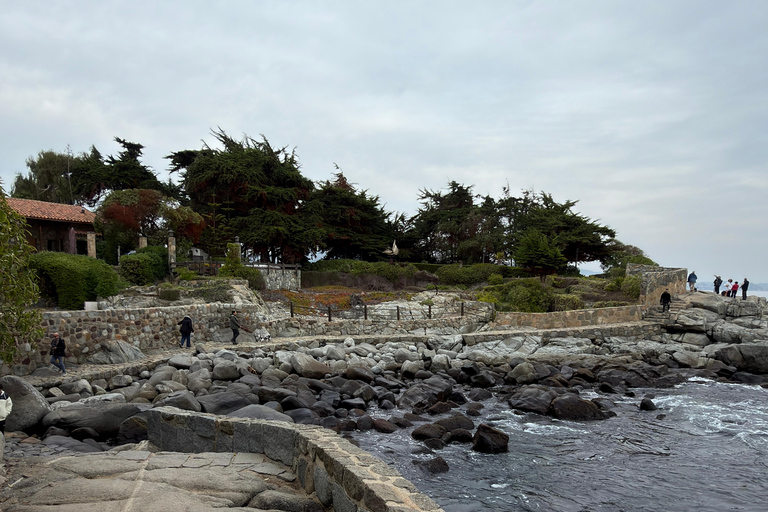 From Santiago: Papudo Horseback Ride & Penguin Watching