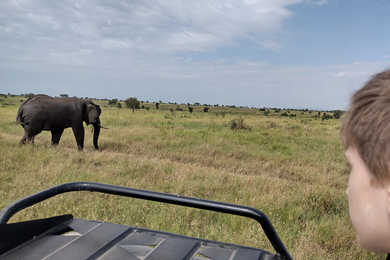 Arusha: Safari di lusso di 2 giorni nel Serengeti