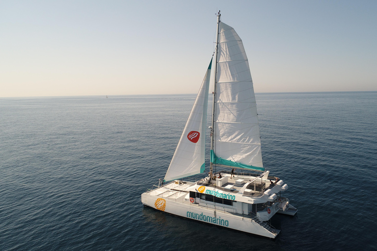 Malaga : Croisière en catamaran au coucher du soleil avec DJ et boissons en directMalaga : Croisière en catamaran au coucher du soleil avec musique et boissons