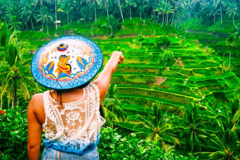 Ubud: Tour privato delle cascate, delle terrazze di riso e della foresta delle scimmie