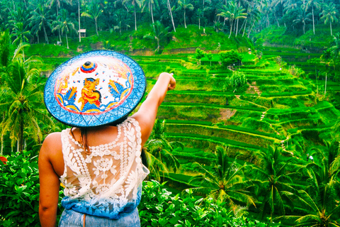 Ubud: Tour privato delle cascate, delle terrazze di riso e della foresta delle scimmieTour di Ubud con pranzo