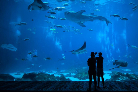 Mexico City: Inbursa Aquarium Entry with Hotel Transfer