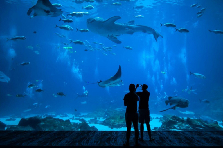 Mexico City: Inbursa Aquarium Entry with Hotel Transfer