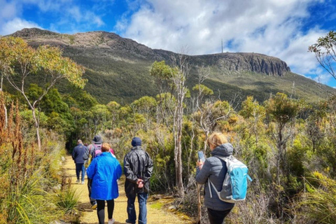 Excursão Ultimate Afternoon ao Mt Wellington