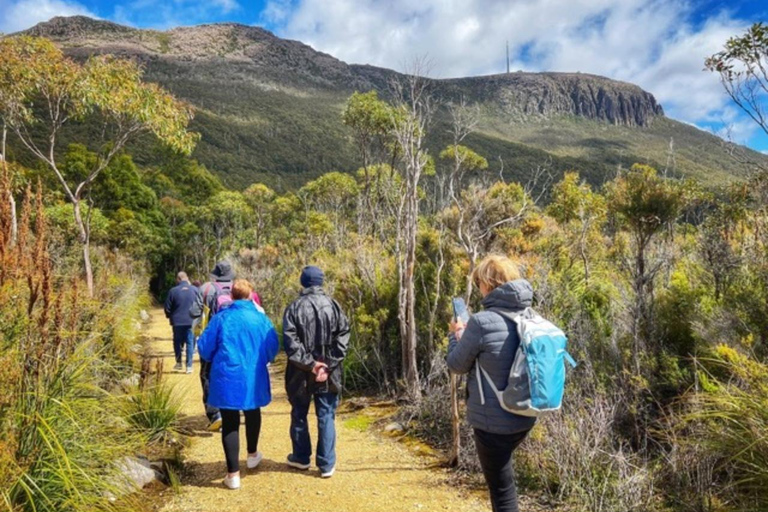 Excursión vespertina por el monte Wellington