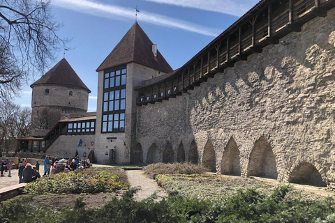 Tallinn Day Tour: Old Town Legends, Lunch & Modern Sights