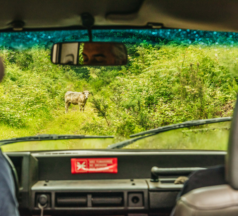 Turismo sobre rodas