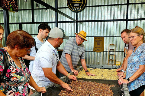 Boquete: Geisha Coffee Plantation Tour with Tasting