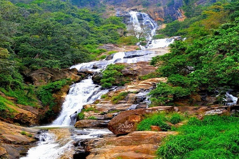 Ella: Diyaluma Waterfalls & Buduruwagala Temple Day Tour