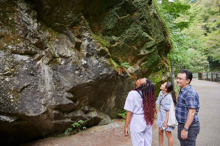 Osaka: Wandeltocht met gids naar Minoo waterval - 2,5uOsaka: 2,5 uur wandelen in Minoh