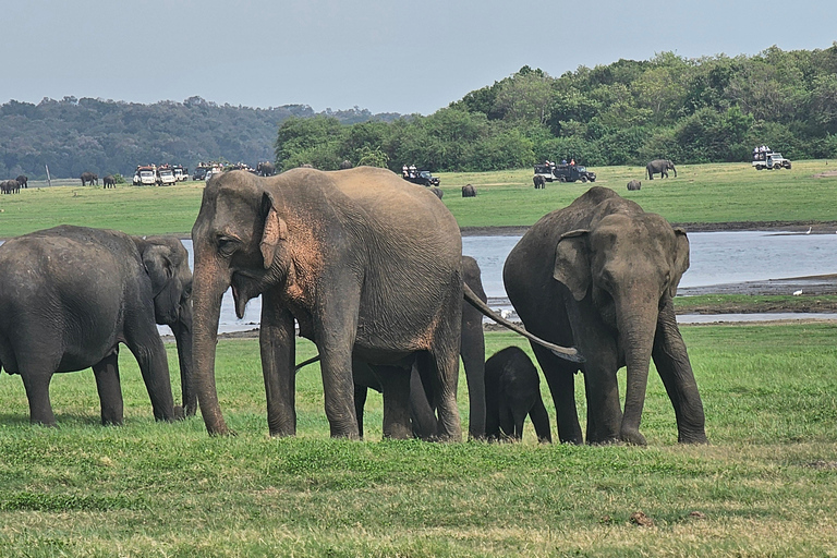 Sri Lanka : Ethical Safari Tour - Voyageur Quiet Safari