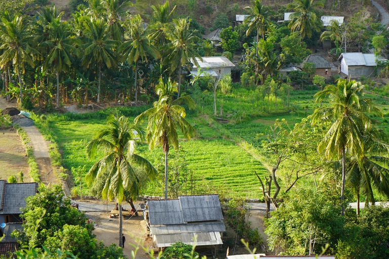 Sri Lanka : 6-Day Authentic Experiences Private Tour