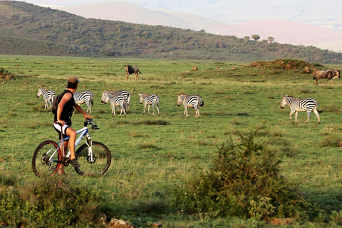 Safari de 2 dias em Tarangire e na Cratera de Ngorongoro