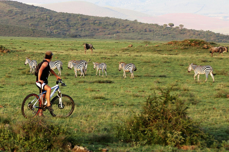 2 dagars safari i Tarangire och Ngorongorokratern