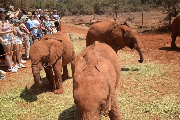 Safari med övernattning till Tsavo East från Mombasa / Diani Beach