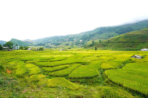 Sa Pa: Half-Day Cat Cat Village Hike to Meet H'mong People