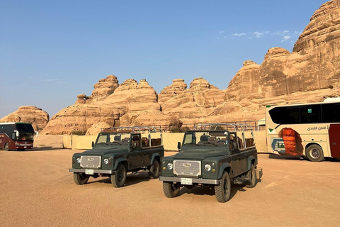 Al-Ula: Hegra, Old Town, and Rock Elephant walk tour