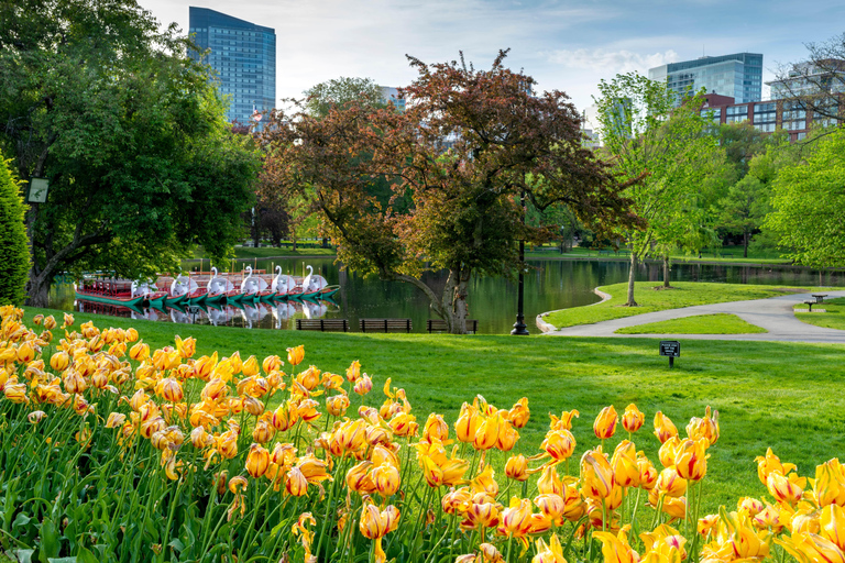 Boston: Back Bay Kleingruppentour zur Geschichte