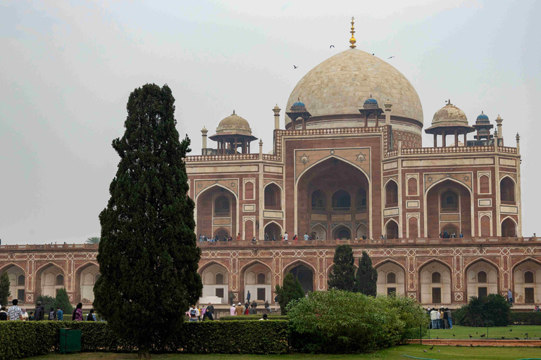 Delhi: Tomba di Humayun e Tomba Safdarjung Tour di mezza giornata guidato