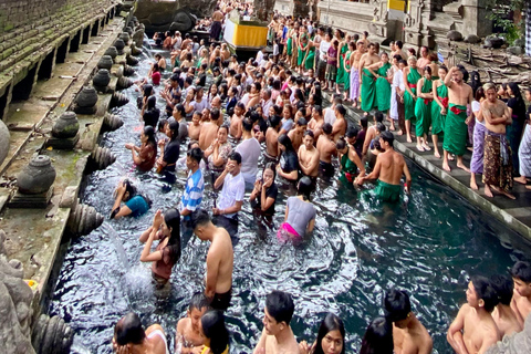 Ubud rice terrace, waterfall, and temple guided trip Bali