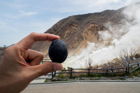 Tokyo: Hakone Private Luxury Day Tour with English Driver