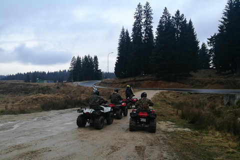 Schneemobil-, ATV- oder Buggy-Tour ab BukarestSchneemobil Privat