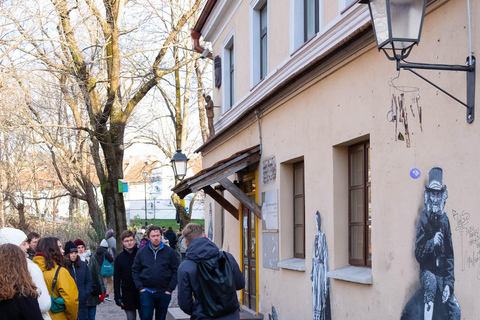 Vilnius: En halvdags Privat halvdagsutflykt med minivan