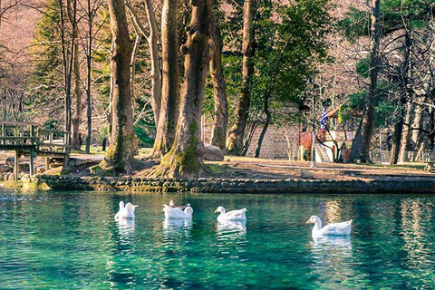 Depuis Thessalonique : Vergina, Agios Nikolaos et Edessa