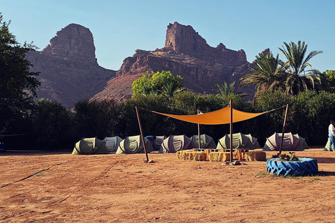 AlUla: Wadi Al Disah Day Trip with Guide