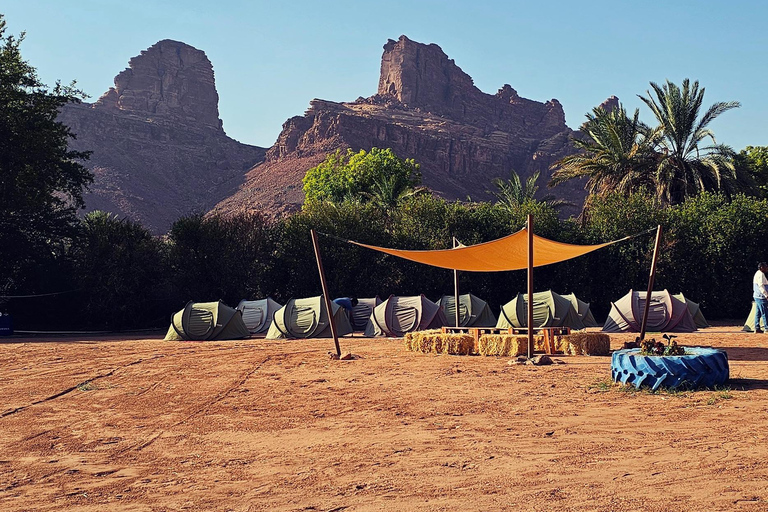 AlUla: Wadi Al Disah Day Trip with Guide