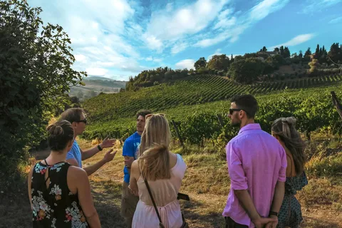 Siena: Organic Winery Tour and Wine Tasting
