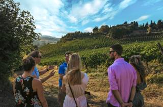 Bio-Weinkeller-Tour und Weinprobe in Siena