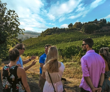 Siena: Organic Winery Tour and Wine Tasting
