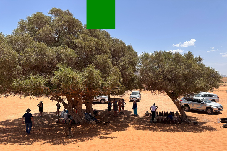 Agadir: Mini Sahara 4x4 Jeep Safari with Berber Lunch PICK UP FROM AGADIR