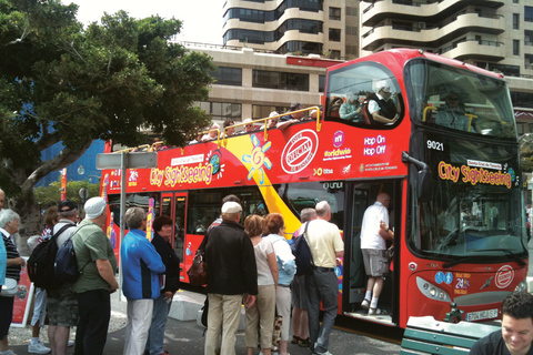 City Sightseeing: Santa Cruz de Tenerife HOHO Bus Tour 24-Hour Hop-On Hop-Off Bus Tour