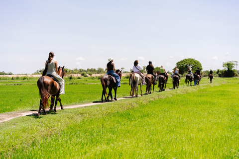 Siem Reap: Private Horseback & Horse-Drawn Carriage Rides (1 hour) Horseback Ride