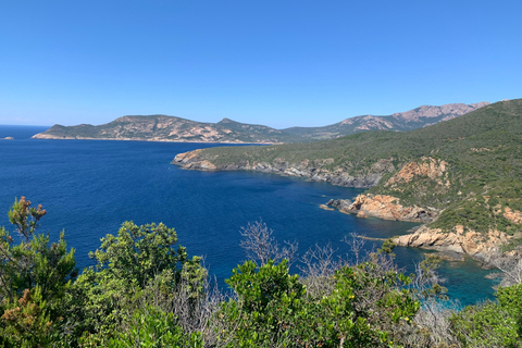 Moitié Terre, Moitié MerCompleet Corsica