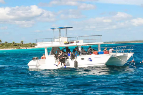 Privado: mergulho na Ilha Catalina com almoçoPrivado: Mergulho na Ilha Catalina com almoço