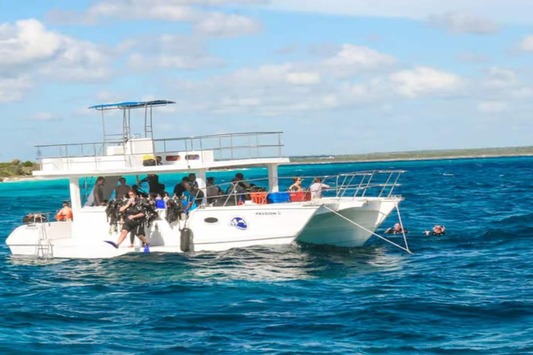 Privado: mergulho na Ilha Catalina com almoçoPrivado: Mergulho na Ilha Catalina com almoço