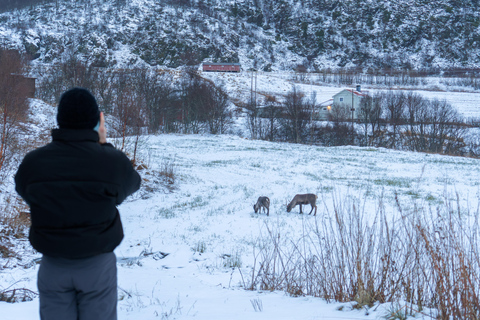 Tromsø: Senja Fjord & Landscape Tour in Chinese Small-Group