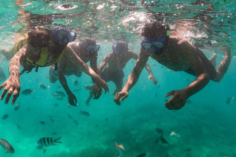 Mauritius: Wizyta łodzią ze szklanym dnem BlueBay i snorkeling
