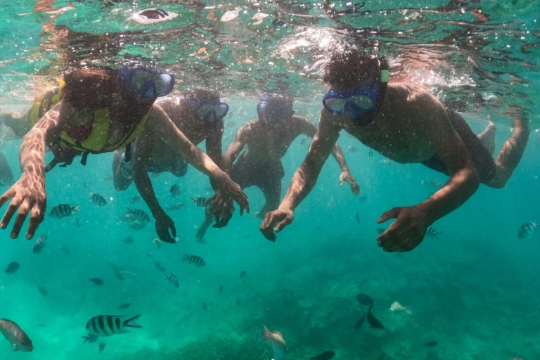 Mauricio: Visita en barco con fondo de cristal a BlueBay y snorkelVisita privada