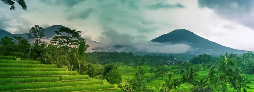 Bali : cascade de Jaga Satru, Goa Lawah et Sidemen