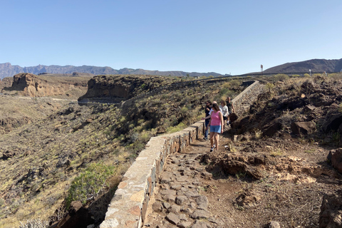 Gran Canaria LET&#039;S GET HIGH: hoogtewijnen en tapaslunch