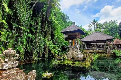 Bali: All-Inclusive Ubud Highlights Tour