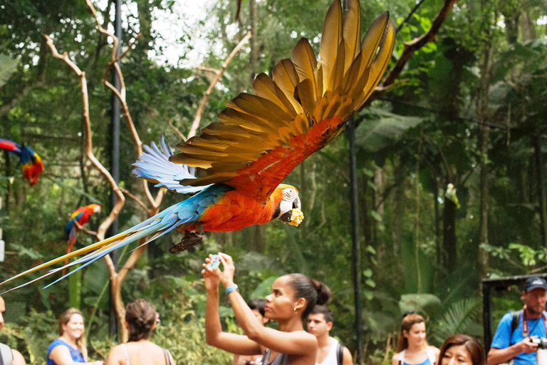 Visita al Parque de las Aves - GuiadaEl Parque de las Aves+ (Guía y transporte)