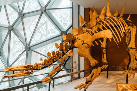 Shanghai : Entrée au musée d&#039;histoire naturelle