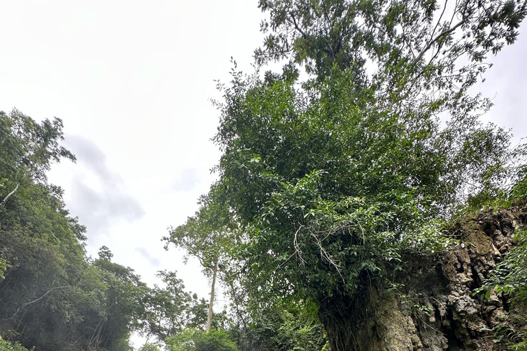 BADIAN: Canyoneering Adventure with Kawasan Falls